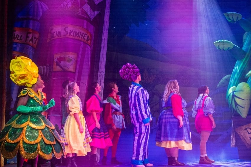 Photos from Landmark Theatres' pantomimes Aladdin and Jack &amp; The Beanstalk (2025)